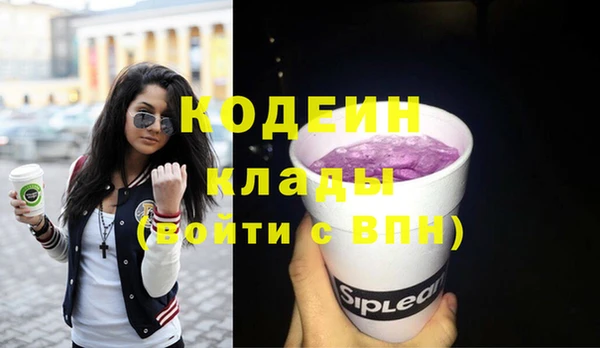 соль ск Козельск