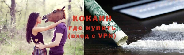 ПСИЛОЦИБИНОВЫЕ ГРИБЫ Балахна