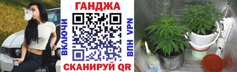 Конопля планчик Курлово